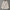 WW | Trenchcoat für Frauen