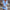 WW | Strickkleid aus Baumwolle und Leinen