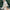 WW - Trendige Lederjacke mit Fransen