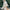 WW - Trendige Lederjacke mit Fransen