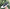 WW | Bequeme Canvas-Schuhe