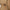 WW | Herren Trenchcoat Im Britischen Stil