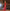 WW | Modern Damen Maxikleid mit Blumen