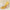 WW | Vergessene Melodie Pump Schuhe