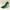 WW | Vergessene Melodie Pump Schuhe