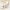 WW | Vergessene Melodie Pump Schuhe