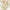 WW | Vergessene Melodie Pump Schuhe