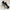 WW | Vergessene Melodie Pump Schuhe