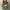 WW | Oversized Warme Damen Rollkragenpullover