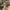 WW - Vintage Kleid mit Schleife