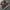 WW | Bequemes Trainingsanzug Satz