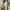 WW Chic- Kaschmir Strickjacke