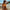 WW - Oranger Bikini mit Ringdetails