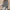 WW | Damen Schulterfreier Pullover