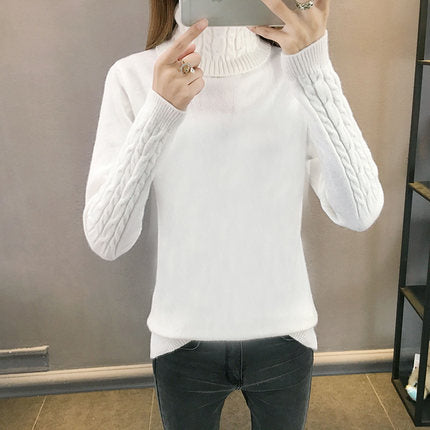 WW | Weicher Hochgeschlossener Pullover Mit Kaschmir Gefühl