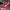 WW | Sneakers - leichte sportliche Schuhe mit atmungsaktivem Mesh
