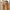 WW | Kordhose mit geradem Schnitt für Herren
