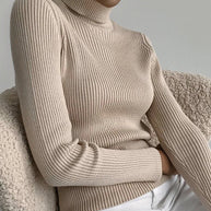 WW | Warmer Winter Rollkragenpullover für Damen