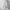 WW | Schnell Trocknende Badehose