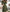 WW | Midi Kleid Elegantes Design Formelle & Abendmode