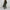 WW | Luxus Samt Jumper Und Jogginghose Set