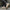 WW | Wildleder Sneakers Mit Textur Sohle