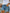 W&W - Kurze Jeans mit hoher Taille