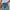 W&W - Kurze Jeans mit hoher Taille