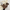 WW - Veganer Leder Crossbody Bag Damen | Modische Tasche