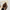 WW - Veganer Leder Crossbody Bag Damen | Modische Tasche