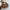WW - Veganer Leder Crossbody Bag Damen | Modische Tasche