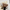 WW - Veganer Leder Crossbody Bag Damen | Modische Tasche