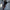 WW | Sexy Ausgeschnitten Mit Langen Ärmeln (sexy Long Sleeve Cut Out Bodysuit)