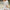 WW Kleid | Lässiges Strickkleid mit Zopfmuster
