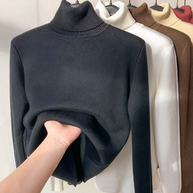 WW - Rollkragenpullover mit Samtfutter