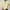 WW | Bequeme Herren Hoodie