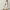WW | Damen Jeans Casual Schnitt