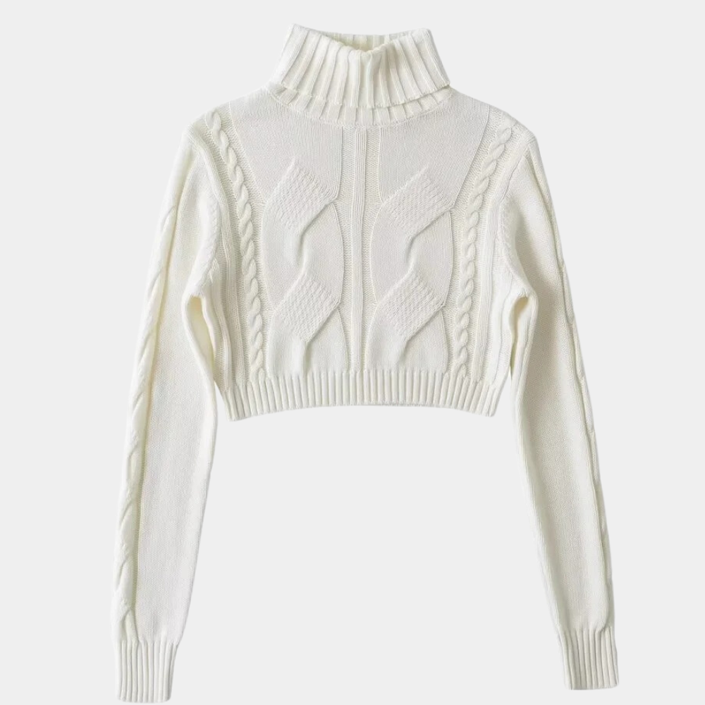 WW | Modischer Rollkragenpulli Für Damen