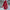 WW | Hooded Raincoat - Thigh-Length Zip Front Raincoat