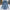 WW | Hooded Raincoat - Thigh-Length Zip Front Raincoat