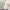 WW | lockeres Rundhals-Sommer-Midikleid aus Baumwolle und Leinen
