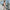 WW | Moderner Damen Jumpsuit | Stilvoll und Bequem