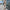 WW | Moderner Damen Jumpsuit | Stilvoll und Bequem
