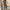 WW | Jumpsuit mit Frisur Upgrade deine Sommergarderobe mit unserem stylischen Jumpsuit mit Frisur