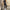 WW | Jumpsuit mit Frisur Upgrade deine Sommergarderobe mit unserem stylischen Jumpsuit mit Frisur