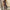 WW | Jumpsuit mit Frisur Upgrade deine Sommergarderobe mit unserem stylischen Jumpsuit mit Frisur