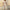 WW | Jumpsuit mit Frisur Upgrade deine Sommergarderobe mit unserem stylischen Jumpsuit mit Frisur