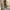 WW | Jumpsuit mit Frisur Upgrade deine Sommergarderobe mit unserem stylischen Jumpsuit mit Frisur