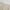 WW | Taillierte Damen Hose Traf Fashion