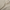 WW | Taillierte Damen Hose Traf Fashion